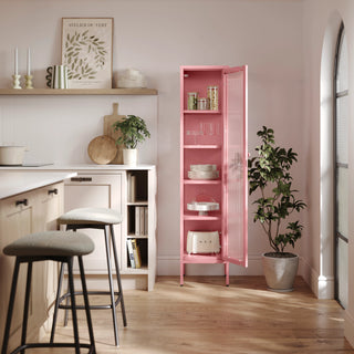 The Wimbledon - Fluted Glass Single Door Locker In Flamingo - Urban Lockers